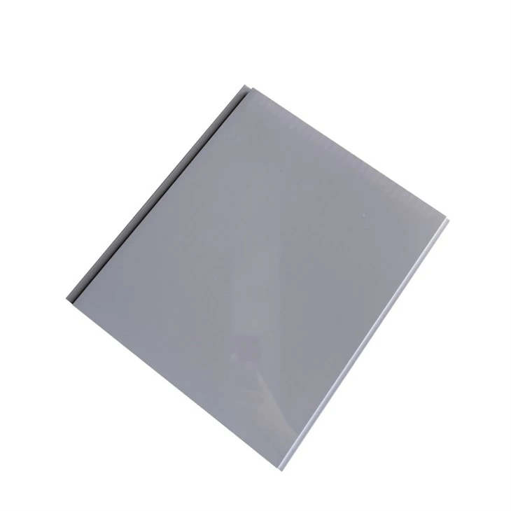 Black PVC Ceiling Panel