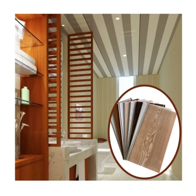 PVC Tavan Paneli Techo PVC