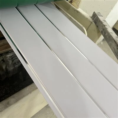 PVC Tavan
